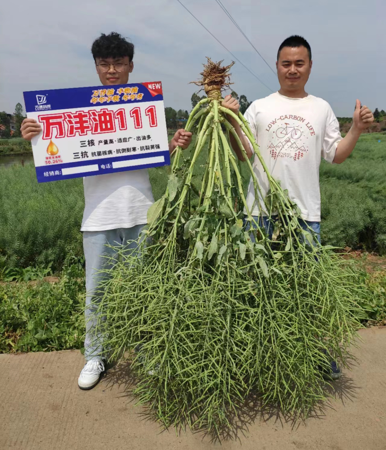 小截圖.jpg