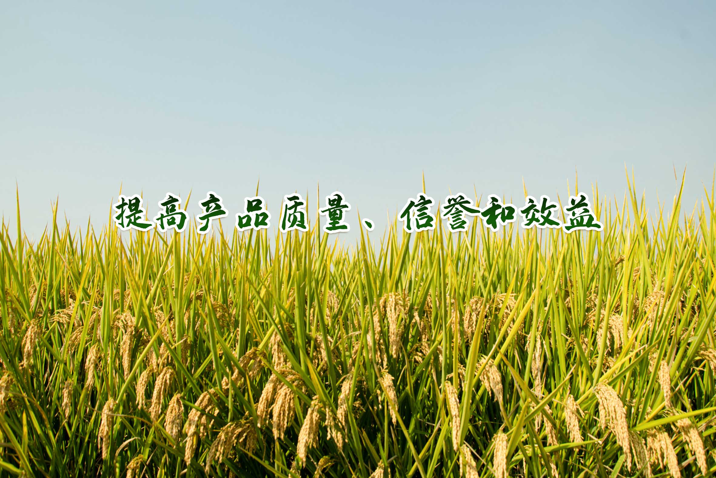 通欄圖片