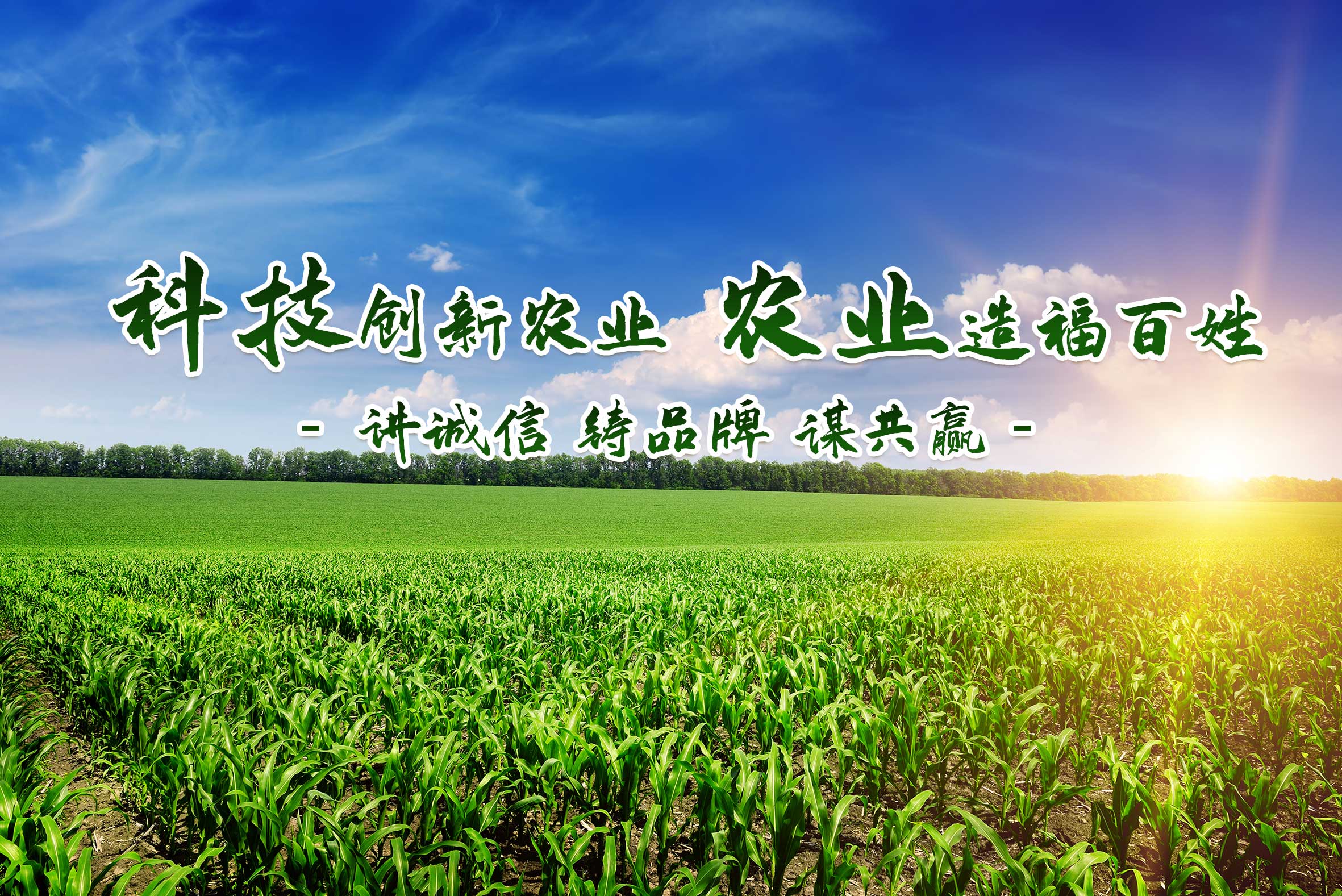 通欄圖片